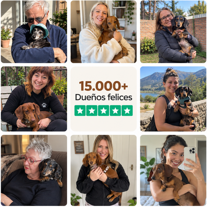 La Guía Completa Del Perro Salchicha