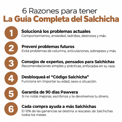 La Guía Completa Del Perro Salchicha