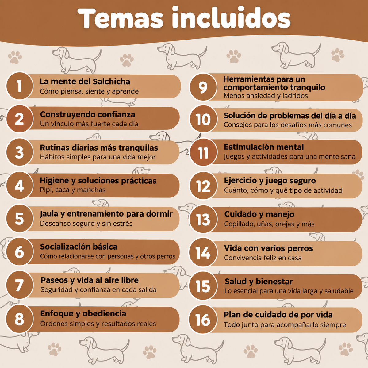 La Guía Completa Del Perro Salchicha