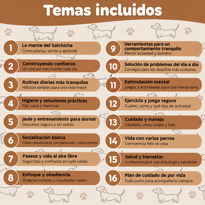 La Guía Completa Del Perro Salchicha