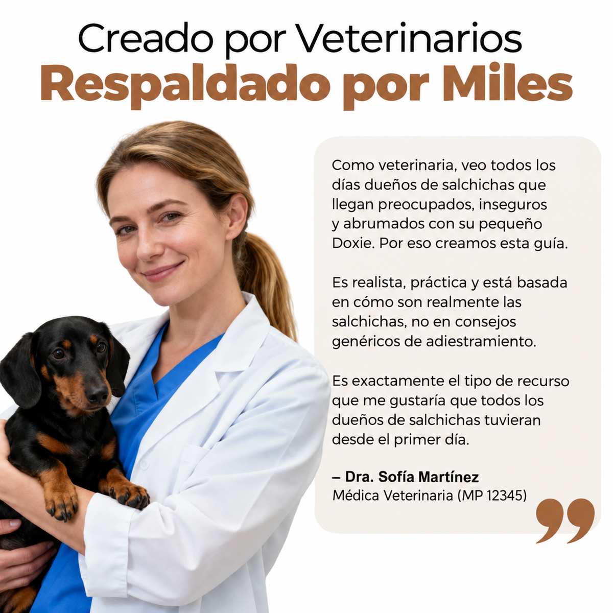 La Guía Completa Del Perro Salchicha