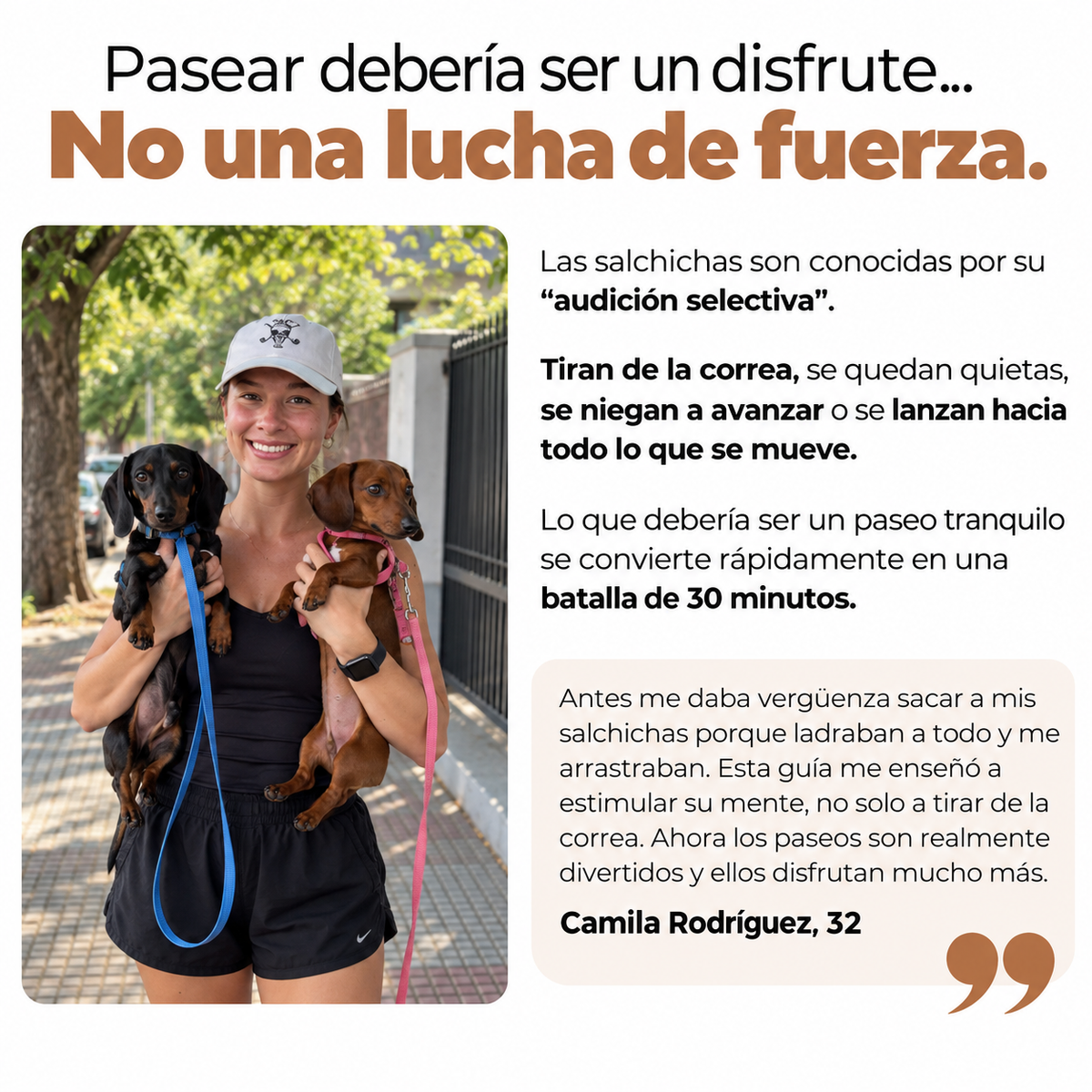 La Guía Completa Del Perro Salchicha
